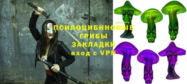 spice Алзамай